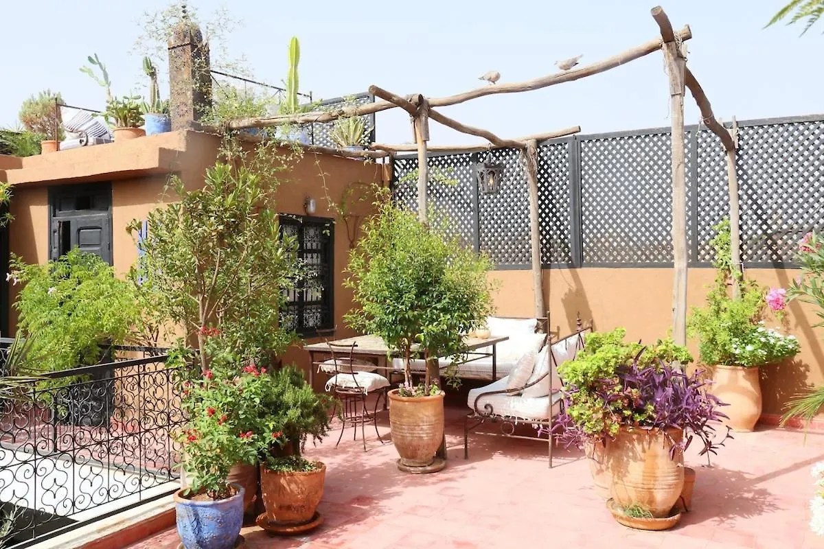 Riad Xcix, Basin, 3 Bedrooms In Medina Excluded Marrakesh Morocco