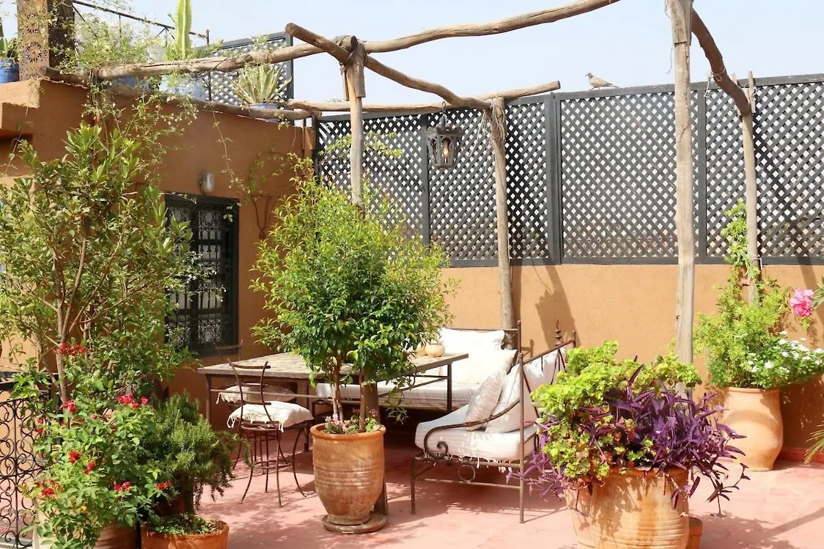 Villa Riad Xcix, Basin, 3 Bedrooms In Medina Excluded Marrakesh Morocco