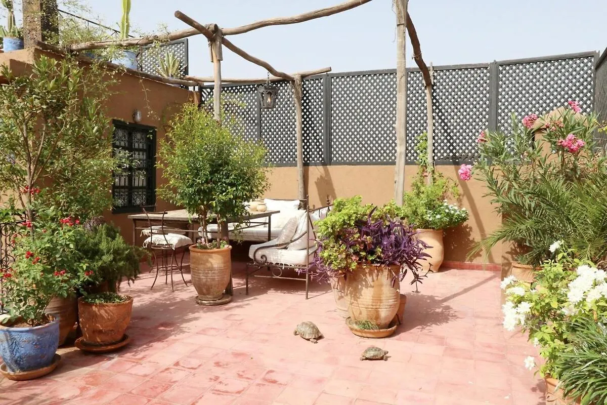Riad Xcix, Basin, 3 Bedrooms In Medina Excluded Marrakesh 0*,  Morocco
